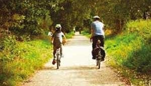 Cheshire Cycleway | Things to see and do | Goose Green Farm