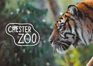 Chester Zoo | Things to see and do | Goose Green Farm