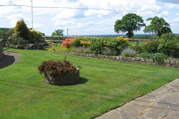 View of the back garden - Goose Green Farm