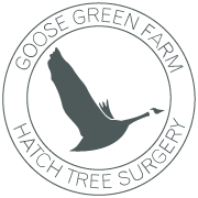 Goose Green Hatch Tree Surgery Logo